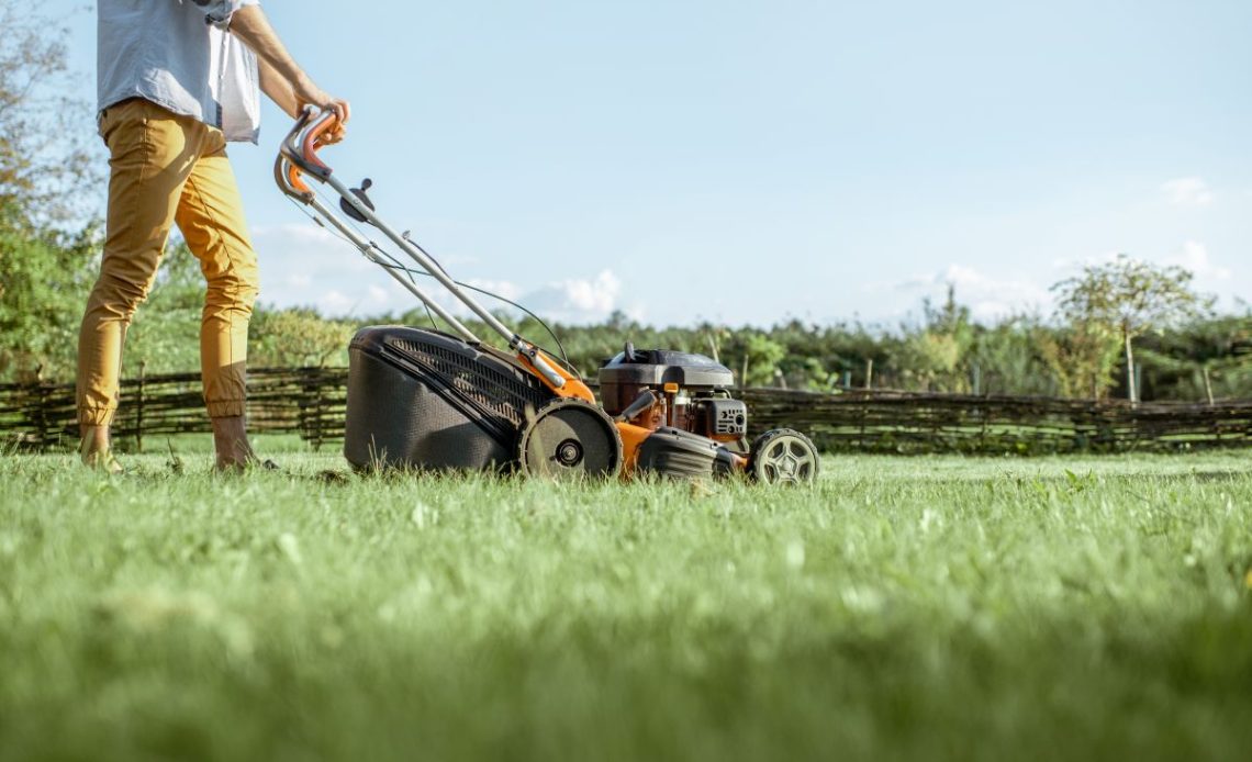 Pierwsze koszenie trawy
