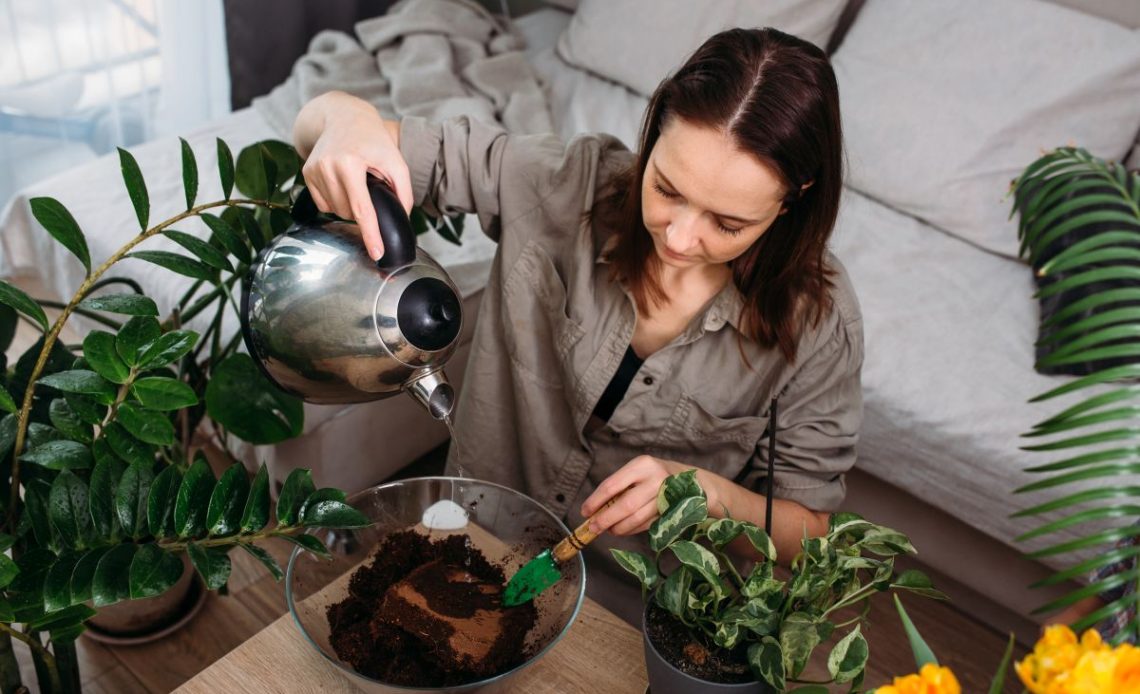 Domowe nawozy do kwiatów