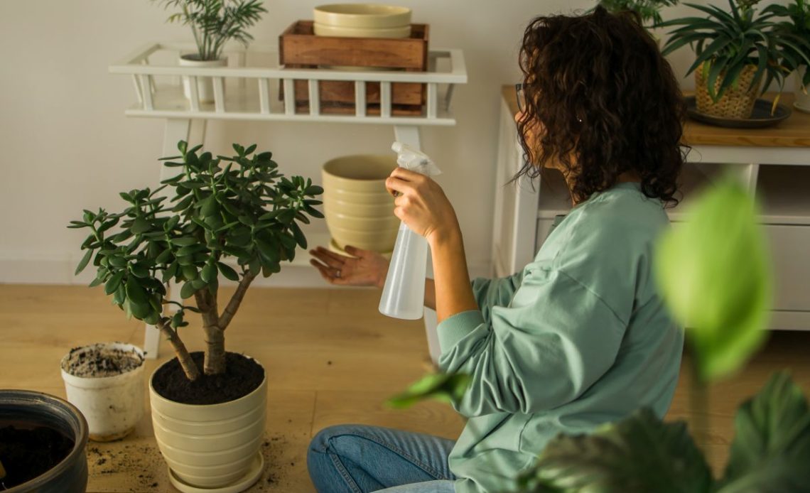 Domowy środek grzybobójczy