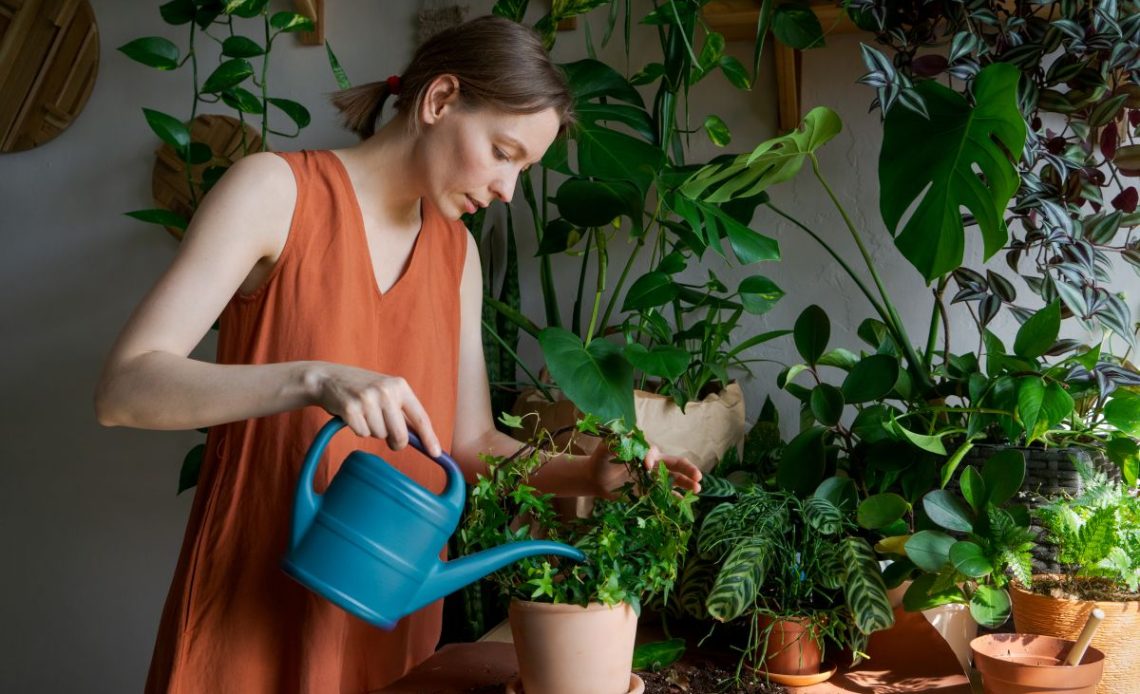 Podlewanie kwiatów wodą mineralną.
