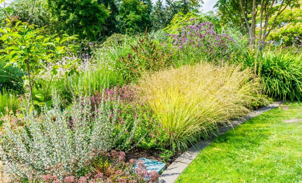 Trawy ozdobne – jaka ziemia